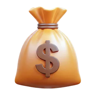 💰